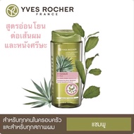 Yves Rocher BHC V2 Gentle Detangling Shampoo 300ml. สูตรอ่อนโยนต่อเส้นผมและหนังศรีษะ🌼