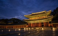 Seoul Night Palace, Market & Hidden View Tour