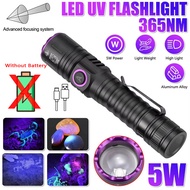 365/395nm UV Flashlight Zoom 5W Type C USB Rechargeable Black Light for Resin Curing Pet Urine Detec