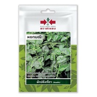 100Biji Benih Bayam Basella / Bayam Malabar/Bayam Mayong/Ceylon  Spinach / East West Seed / Cap Pana