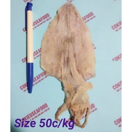10 dried squids size 40-45c/kg