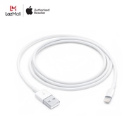 Lightning to USB Cable (1m)