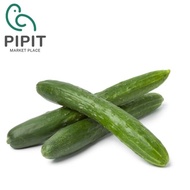 Japanese Cucumbers 500G ( Jepun Timun / 日本黄瓜 ）