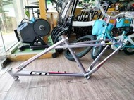 特價銷售GT登山車系列 Zaskar Expert車架