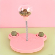 Cat Teaser Toy Food Ball Pet IQ Training Educational Exercise Pet Treat Dispenser for Puppy Small Do