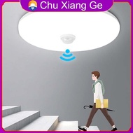 LED Ceiling Lamp PIR Motion Sensor 220V 110V 15W 20W 30W 40W Ceiling Light Cold White Mordern Ceilin