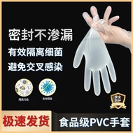 Authentic Grade Usjing Food Disposable Gloves Catering, Kitchen, Housework, Waterproof, Oil-Proof, S