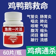 Shenhui chicken duck geese pigeon cold diarrhea medicine old Shenhui chicken duck Goose pigeon cold 