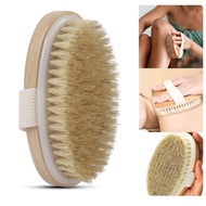 Body Brush Exfoliator with Soft Bristles Body Scrub Brush Body Massage Cleaning Brush Shower Wet and