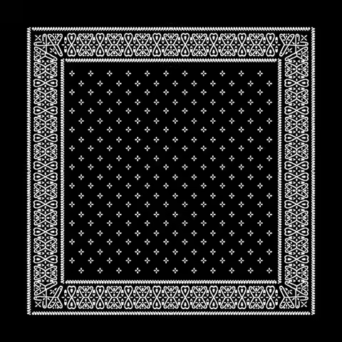 Hip Hop Ice Silk Skull Bandana, Square Scarf, Black and White Paisley, Multifunction Headband for Me