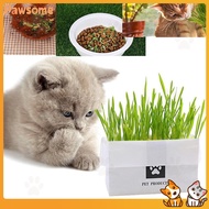Pawsome Natural Cat Grass Planting Kit DIY Cat Grass Soilless Fast Growing Wheatgrass Panting Set for Hairball Control