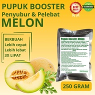 Pupuk Booster Melon / Obat Booster Buah Melon / Pupuk Booster Buah Melon / Pupuk Buah Melon
