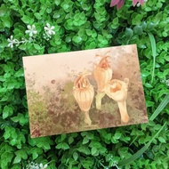 明信片 – 花卉系列 – 香港水玉杯