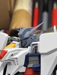 HG頭改件 Xi Gundam 柯西 不孝子 大白鵝 潘娜洛普