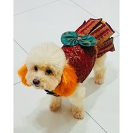 Indian Traditional Pets Wear (Dogs/Cats)