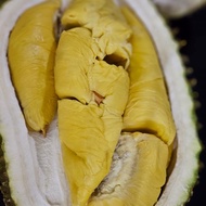 durian musang king utuh lokal