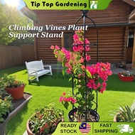 Climbing Vines Plant Support Stand Squirrel Design Lattice Flower Stand Plant Support Rack