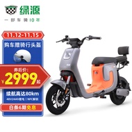 【NFC解锁】绿源电动车48V24A新国标电动自行车锂电电瓶车 通勤代步车  液冷电机   K5 魅影灰(48V24A) 预计7天左右发货