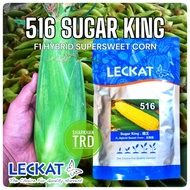NEW STOCK🔥 Paket 500g (3000 Biji) 516 SUGAR KING Leckat Biji Benih Jagung Madu Manis F1 Hybrid Super