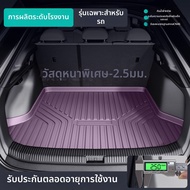 Co | พรมท้ายรถ TPE สีม่วงสำหรับ Tesla Model Y และ Model 3