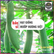 [Wholesale] - Vietnamese Luffa Seeds