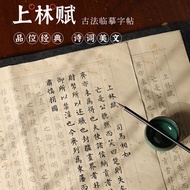 Shanglin Fu's Complete Chapter Sima Xiangru Zhou Shengru's Same Style Small Regular Script Copy Call