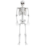[Ganlitong] Halloween Skeleton Deco 165cm Lifelike Plastic Skeleton Haunted House Decoration Secret 