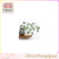 trekko Fake Green Potted Plant Artificial Flower Interior Tabletop Akebi Style Divisible No Vase (2,