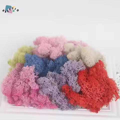 Wedding Accessories DIY Wedding Christmas Flower Home Decor Reindeer Moss Micro Landscape Eternal Li
