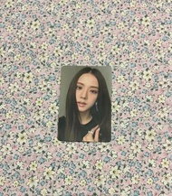blackpink jisoo小卡 the album k4特典