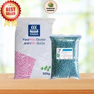 [100% ของแท้] ปุ๋ยยามามิร่า สูตร 8-24-24 ปุ๋ยกระตุ้นการออกดอก ติดผลรวดเร็ว เพิ่มขนาดและน้ำหนักผลผลิต