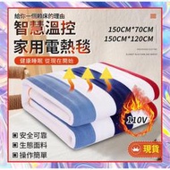 110v電熱毯 床墊 單人雙人電熱毯 省電型恆溫電熱毯 暖身毯 斷電保護 電毯 寒流必備