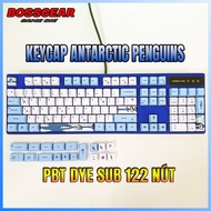 Antarctic Penguins PBT Keycaps Set 122 keys OEM Antarctic penguin profile (Can be installed for layo