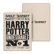 เคสป้องกัน Boox Poke6 ขนาด 6 นิ้ว ดูดซับแม่เหล็ก ตื่นนอน อุปกรณ์เสริมอื่นๆ สำหรับแท็บเล็ตอเนกประสงค์