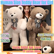 (Ready Stock) 160cm 130cm Human Size Teddy Bear 5ft short plush Teddy Bear Human Size cute Teddy bea