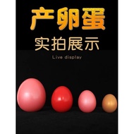 Self-Given Self-Foot Light Never Dark------Yyyy5.7