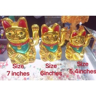 Lucky cat or fortune waving cat with box ️ display