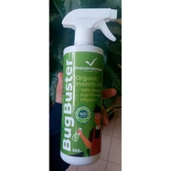 BUG BUSTER Racun Serangga ORGANIK | Organik Insecticide