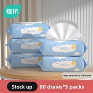 Hygienic Wet Tissue for Women and Pregnant Women