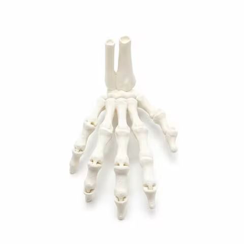 3D Printed Skeleton Hand Flexible Joint Realistic Design Ghost Halloween Props Creative PLA Material