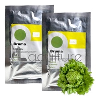 Benih Selada BRUMA RZ Isi 1000 Pills Iceberg Lettuce Rijk Zwaan