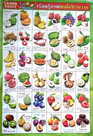 โปสเตอร์ เรียนรู้ภาพผลไม้สวยงาม Poster Fruit