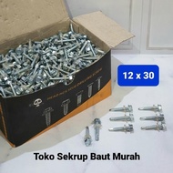 LncrMrt - 12X30 Drilling Bolts 12X30 Roofing Bolts/ Sds Drilling Screws 12 X 30 Contents
