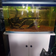 aquarium bending merk atman 80cm