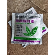 Super root booster stimulates sprouts