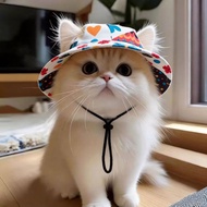 Pet Headwear Products