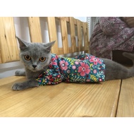 Baju Raya Kucing Sweet Green