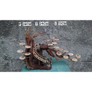 Cheap aquascape bonsai