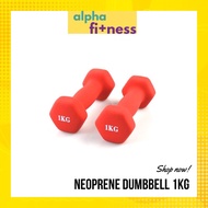 Neoprene Dumbbell Set 2Pcs 1KG