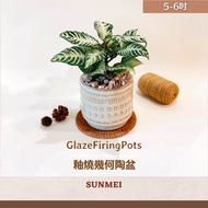 [Senmei Planting] Glaze-fired Geometric Line Pottery Pots Pots/Flower Pots/Flower Pots/Foliage Folia